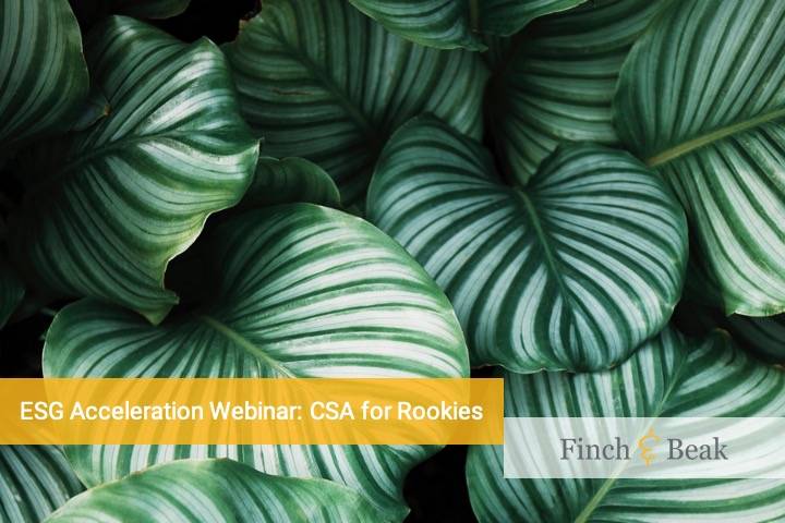 ESG Acceleration Webinar: CSA For Rookies